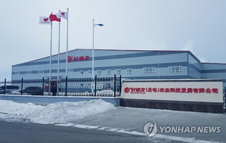 好麗友在華建成土豆產品原料工廠，技術進出口布局深化